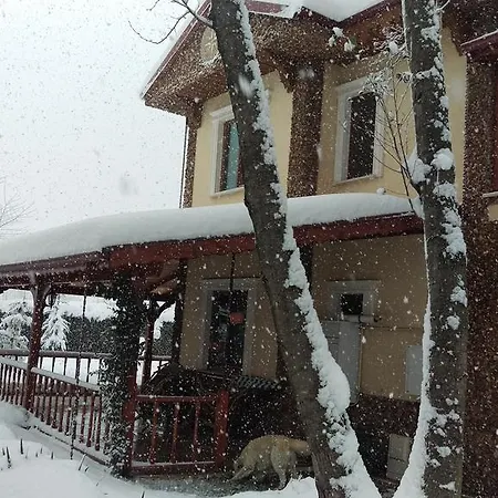 Vila Well Done Butik Sapanca