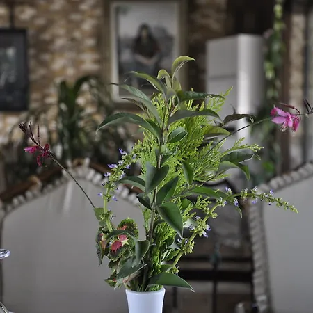 Vila Well Done Butik Sapanca