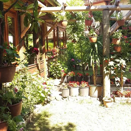 Vila Well Done Butik