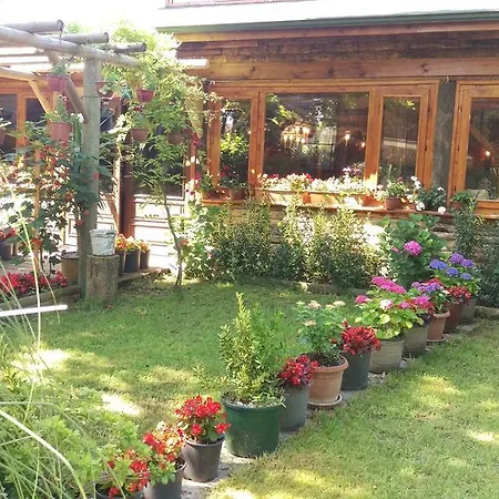 Well Done Butik Vila