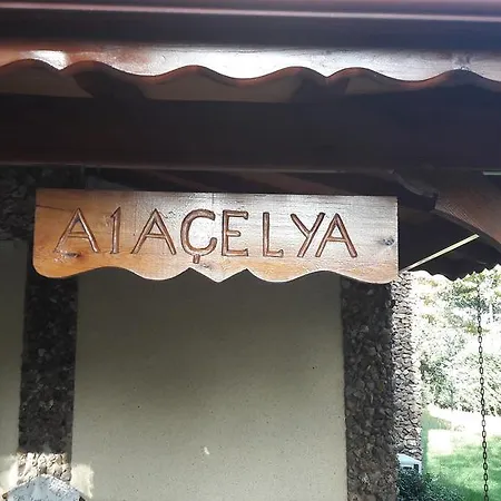 Well Done Butik Vila